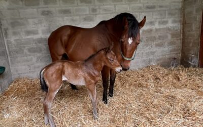 The Miracle Of New Life