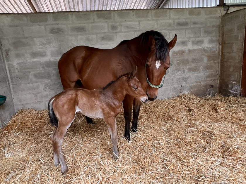 The Miracle Of New Life