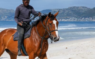 A walking, galloping, winning miracle