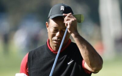 There’s only one Tiger
